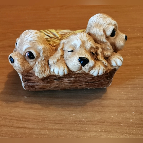 Woodlander Trio Puppies - Picture 4 of 5